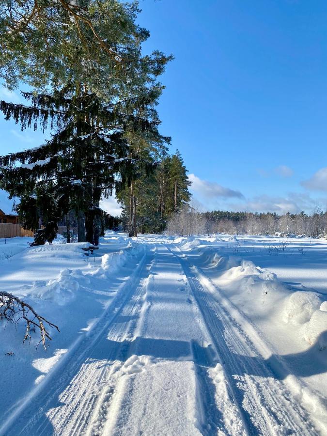 Caloroczne Domy Z Bala - Casa Del Czyzyk Serwy Dış mekan fotoğraf