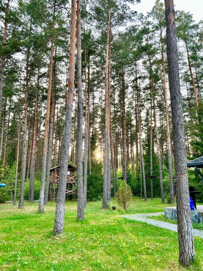 Caloroczne Domy Z Bala - Casa Del Czyzyk Serwy Dış mekan fotoğraf